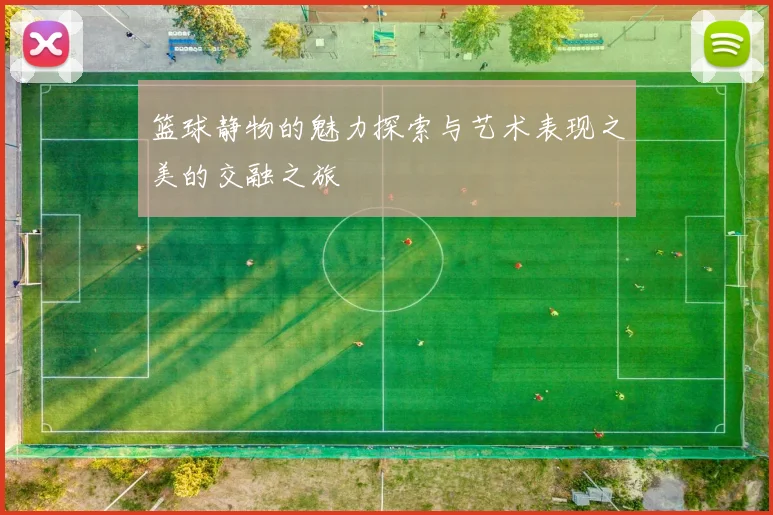 篮球静物的魅力探索与艺术表现之美的交融之旅