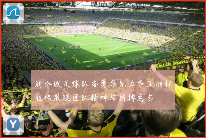 新加坡足球队奋勇争先力争亚洲杯佳绩展现团队精神与拼搏意志