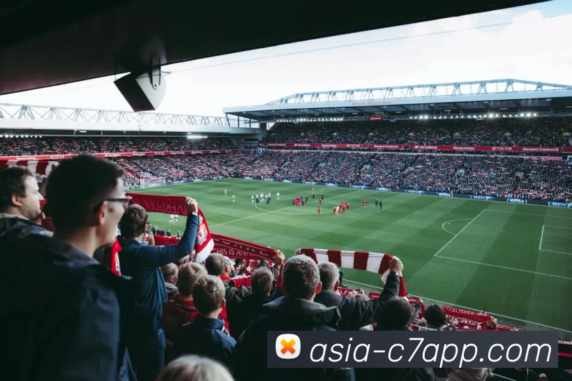 C7娱乐平台生态图